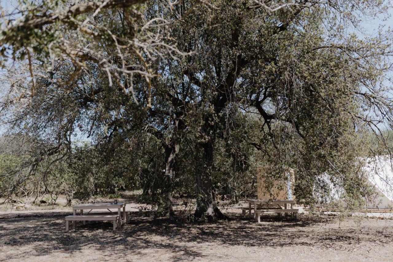 Glamping Masseria Cuturi Manduria Bagian luar foto